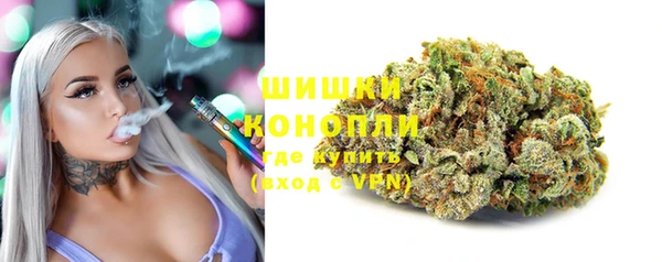 дурь Коряжма