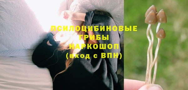 прущий лед Кодинск