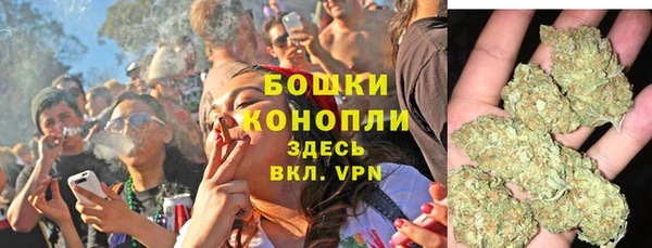 мдпв Горнозаводск