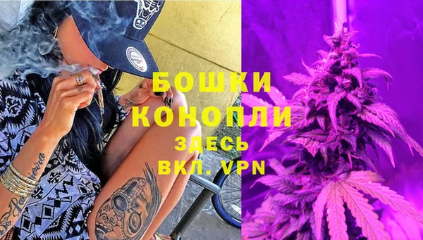 каннабис Корсаков