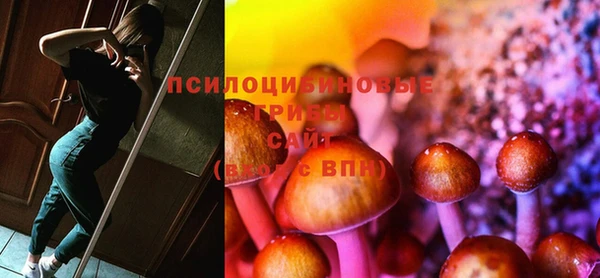 каннабис Корсаков