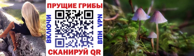 где купить наркоту  Удачный  мега рабочий сайт  Псилоцибиновые грибы GOLDEN TEACHER 